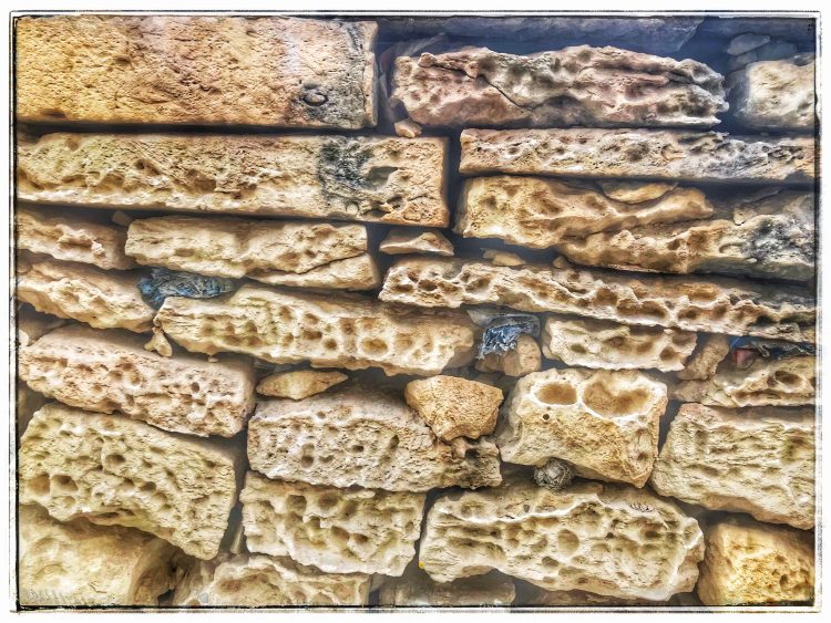 Maltese Stone Wall #1